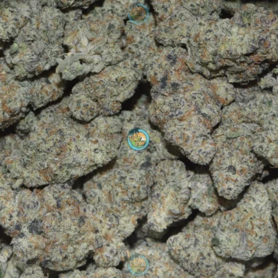 DANK INFERNO CANNABIS STRAIN