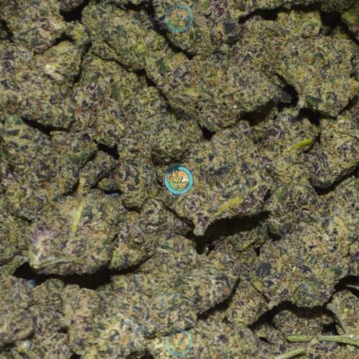 ROAD RUNNER Cannabis Strain