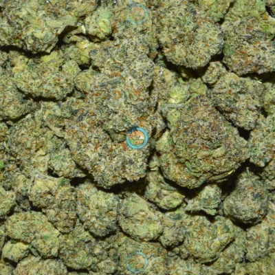 Khalifa Kush KK Cannabis Strain