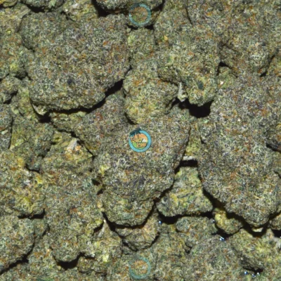 LEMON FREEZE POP Cannabis Strain