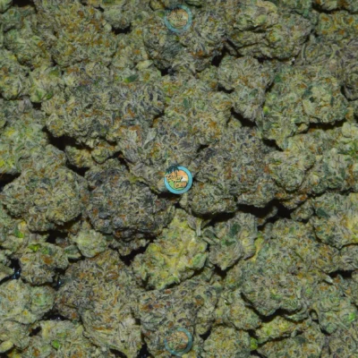 KALI 47 Cannabis Strain