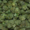 LEMON CREAMA Cannabis Strain