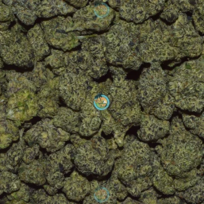 MOONSHOT Cannabis Strain