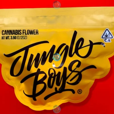 JUNGLE BOYS 20TH ANNIVERSARY