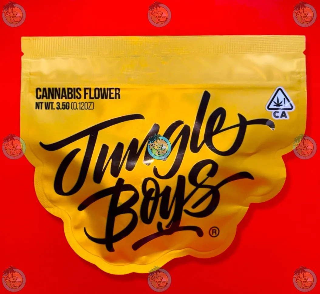JUNGLE BOYS 20TH ANNIVERSARY