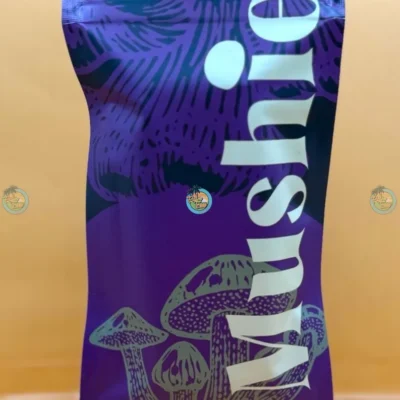 MUSHIE BARS DARK CHOCOLATE