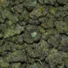 LONDON BUBBLY weed strain