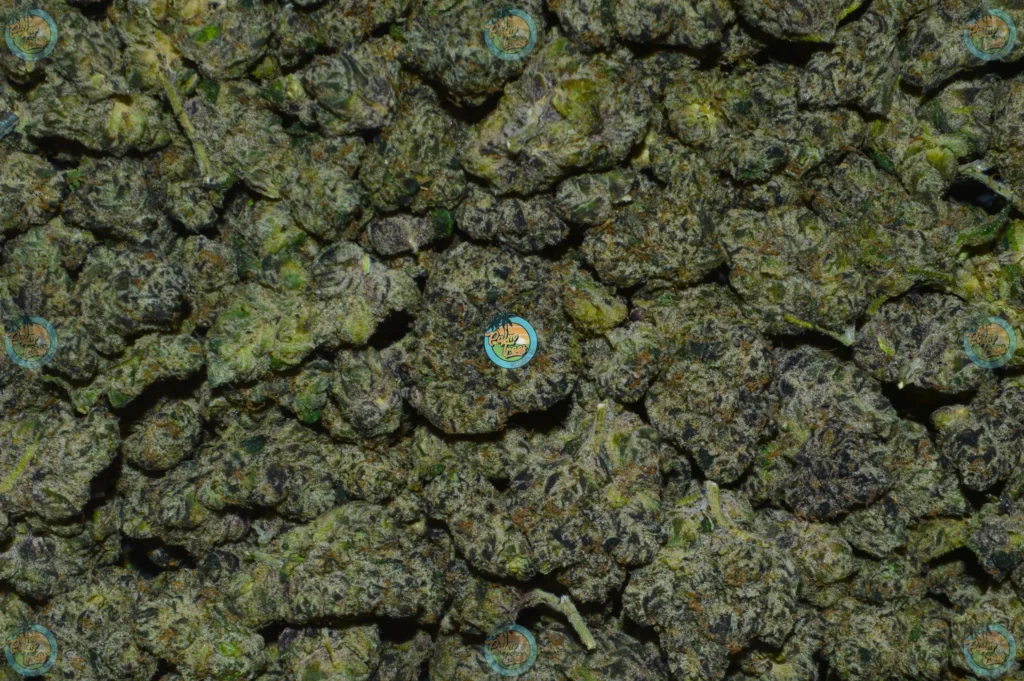 LONDON BUBBLY weed strain