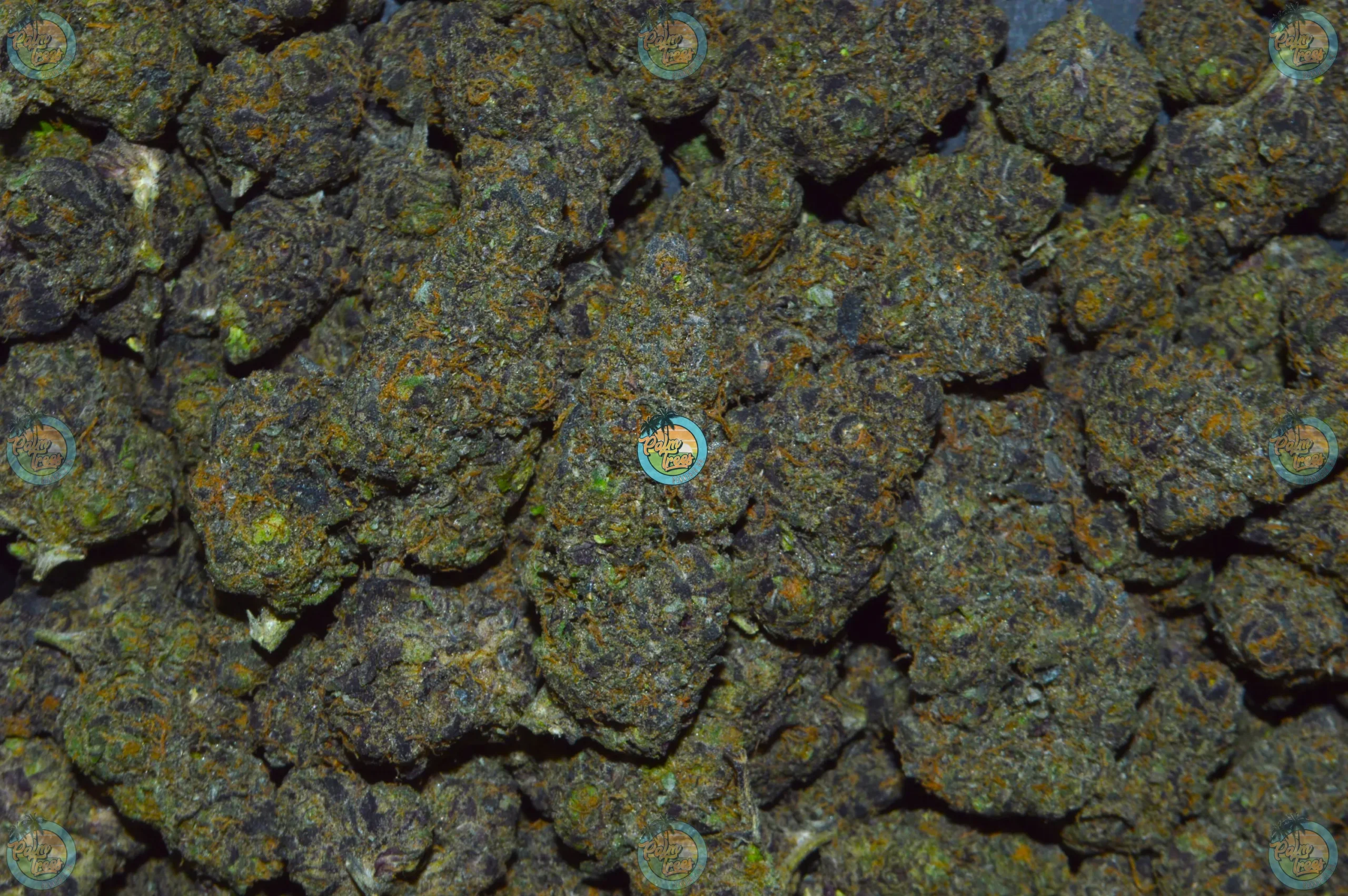 London Jelly weed strain