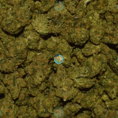Sapphire cannabis strain
