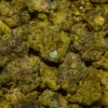 MICHELIN cannabis strain