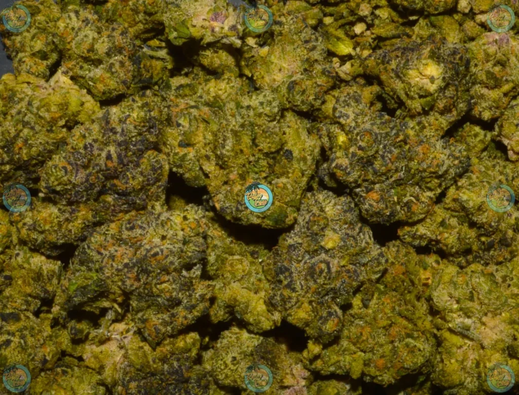 Michelin Cannabis strain