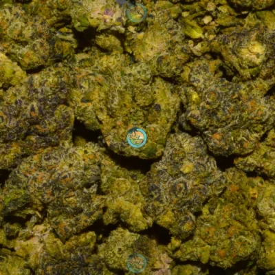 MICHELIN cannabis strain
