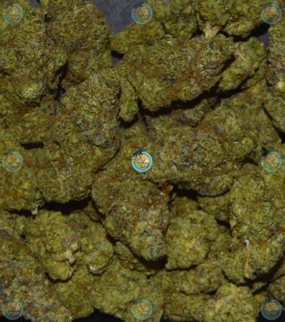 Black Maple Cannabis