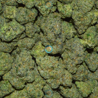 Dream Queen Cannabis