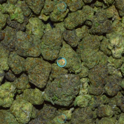 GAS CREAM CAKE cannabis strain