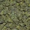 MEGA CHERRY WHAMMERS Cannabis