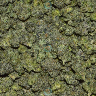 MEGA CHERRY WHAMMERS Cannabis