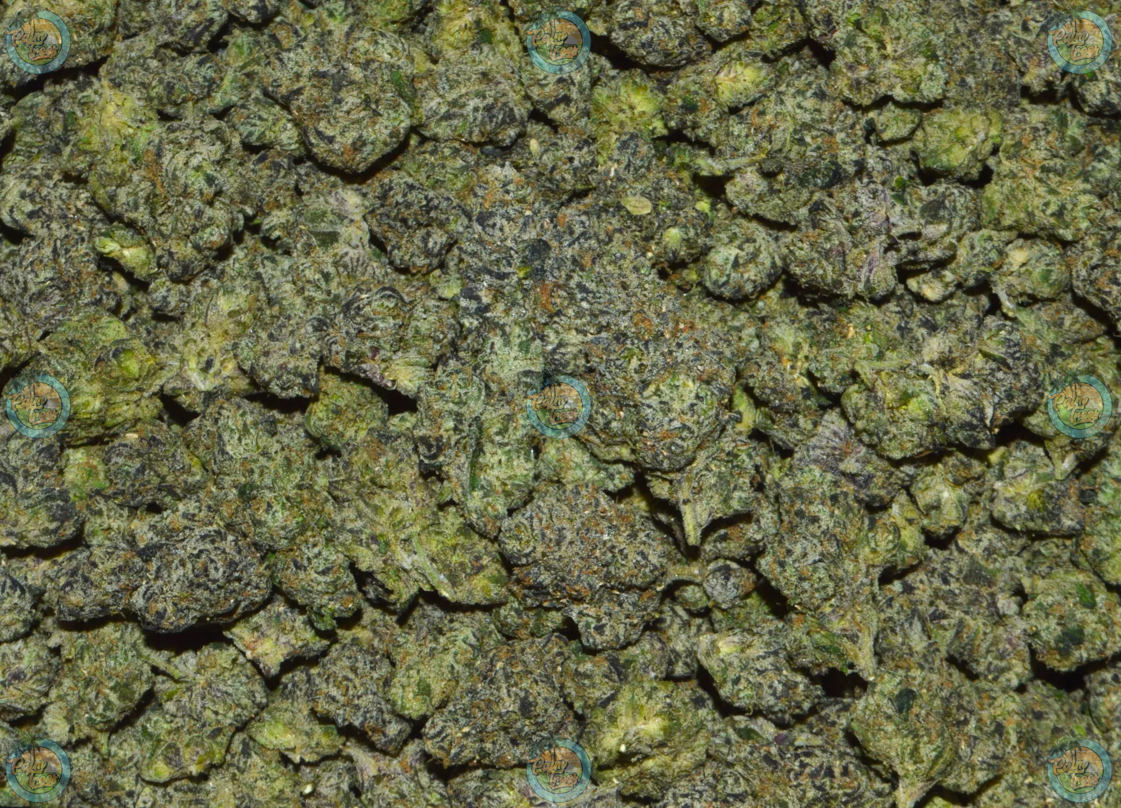 MEGA CHERRY WHAMMERS Cannabis