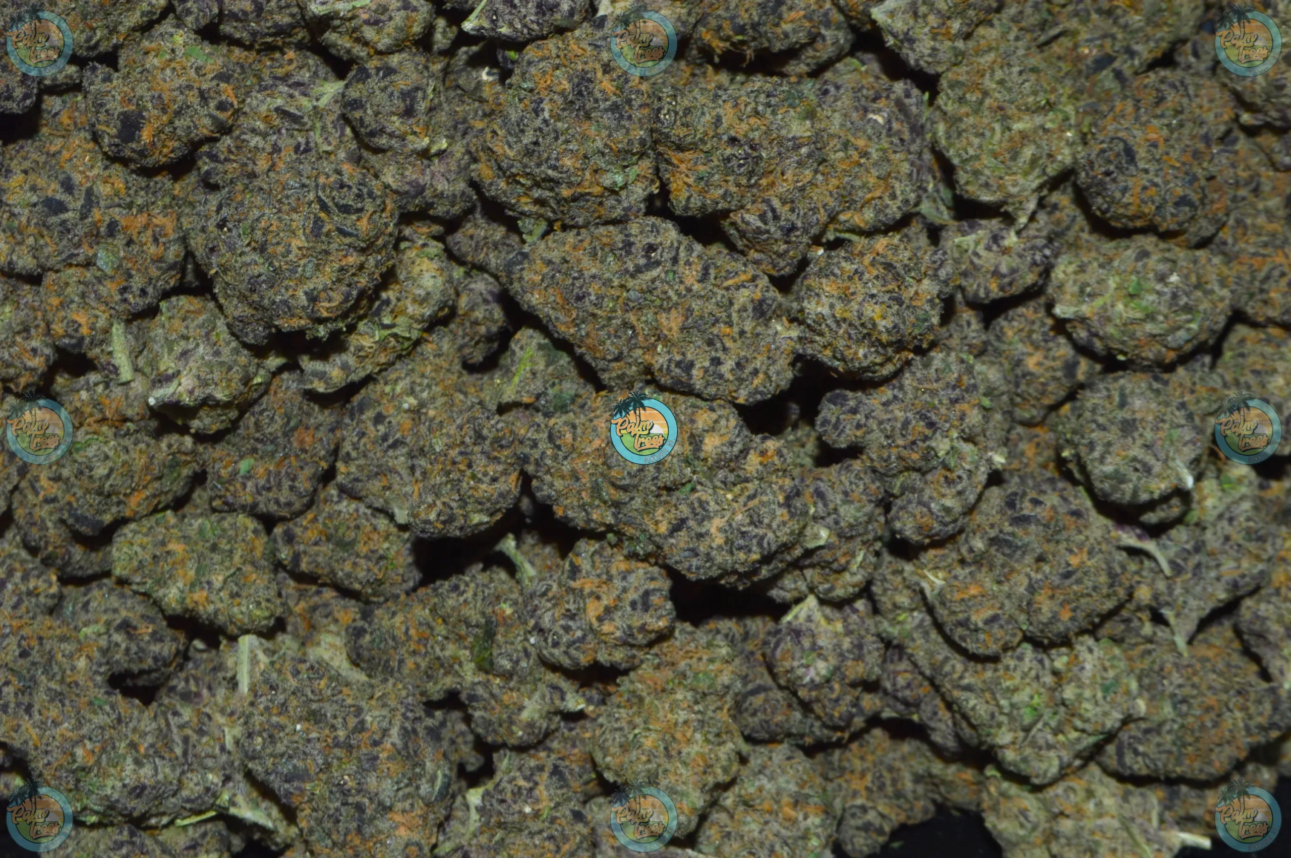 Moon Fog Cannabis