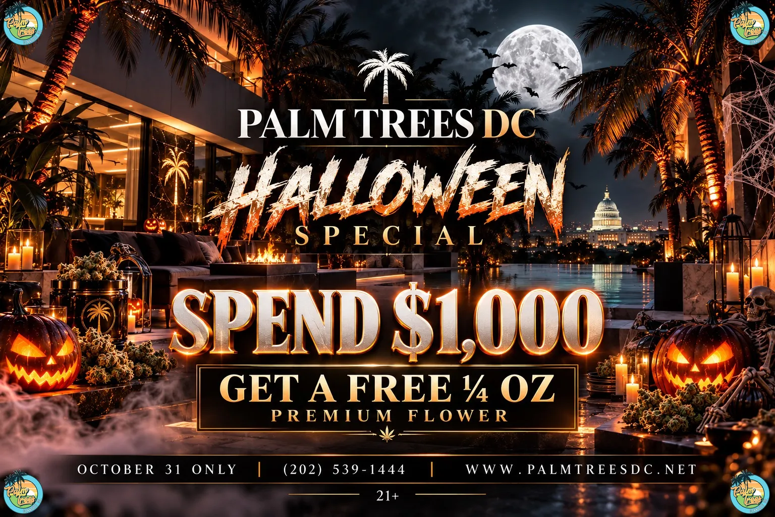 PALM TREES DC HALOWEEN BANNER 26