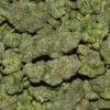 RARI RUNTZ CANNABIS